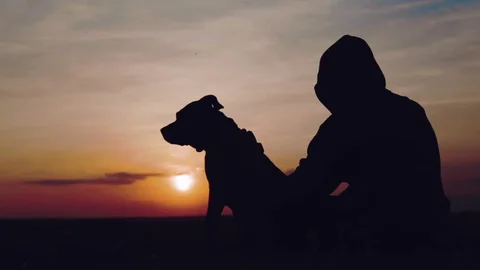 Pelacur dan Anjing, Kiai dan Burung
