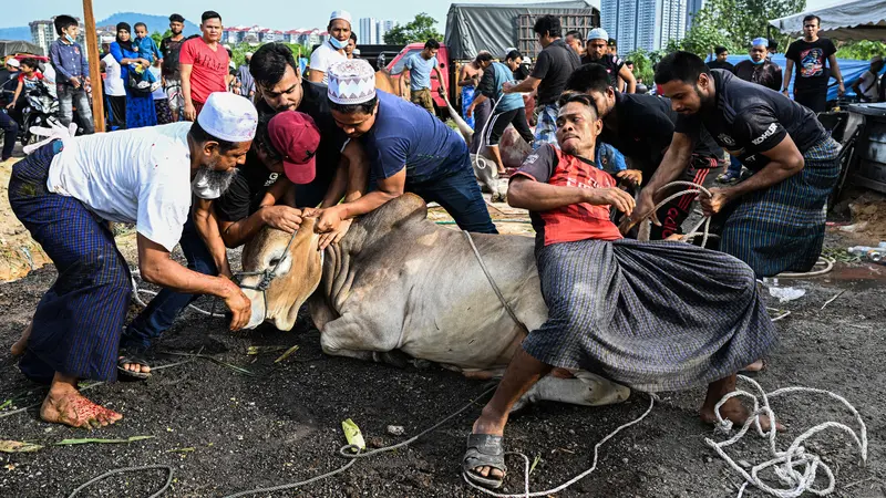 Idul Adha & Solidaritas Muslim